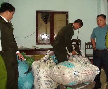 Giao gỗ quý trị giá hàng tỷ đồng cho Chi cục Kiểm lâm - 1