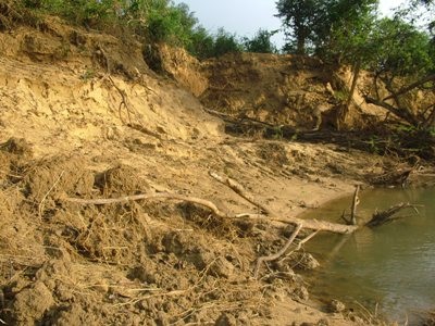 Sông “uy hiếp” làng mạc, “xóa sổ” đất sản xuất - 3