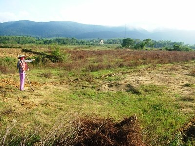 Sông “uy hiếp” làng mạc, “xóa sổ” đất sản xuất - 5