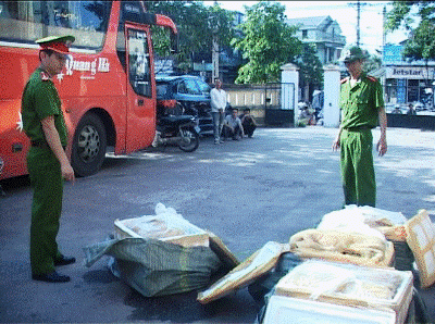 Xe khách vận chuyển 500kg thịt lợn thối