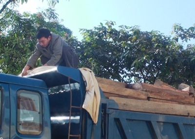 Phát hiện và thu giữ hơn 8m3 gỗ quý - 1