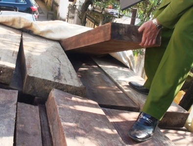 Phát hiện và thu giữ hơn 8m3 gỗ quý - 2