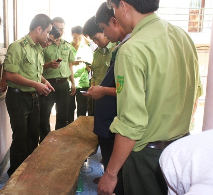 Vụ gỗ sưa trăm tỉ: Bắt thêm 4 phách gỗ nặng 300kg