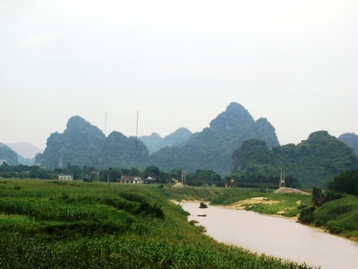 Rộ tin trúng cây sưa trăm tỉ đồng ở Phong Nha - Kẻ Bàng