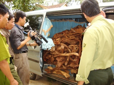 Những chuyện “hư thực” về nhóm trúng sưa trăm tỉ