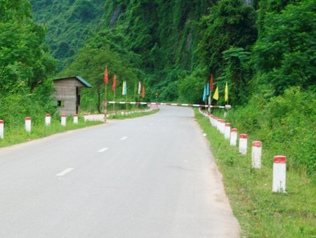 Chưa thể khởi tố vụ gỗ sưa trăm tỉ vì chậm báo cáo thiệt hại - 2 Chưa thể khởi tố vụ gỗ sưa trăm tỉ vì chậm báo cáo thiệt hại