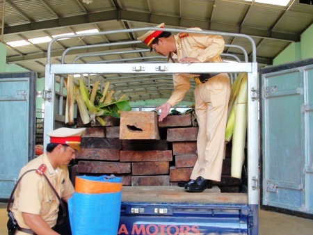 Bắt giữ xe vận chuyển gần 5 khối gỗ quý hiếm