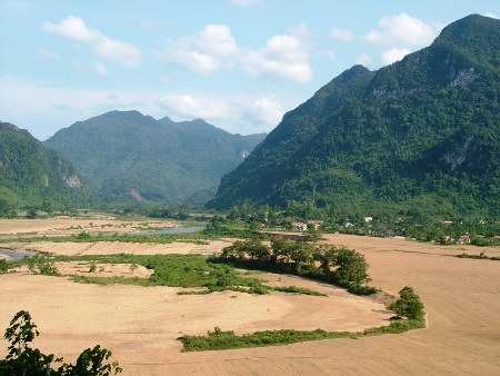 Thêm 3 cây sưa trăm tỷ bị chặt hạ: Sự thật hay lâm tặc tung tin?