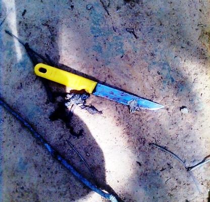 Đâm chết người yêu rồi tự mình thiêu đốt cả hai người