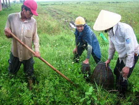 Tận diệt chuột còn giúp bà con an tâm phần nào cho mùa vụ mới