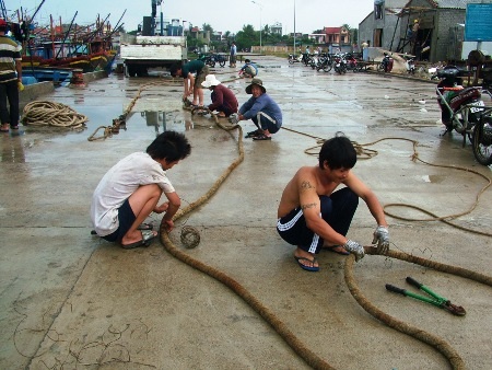 Ngư dân đang hết sức khẩn trương giằng chéo tàu thuyền an toàn...