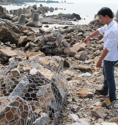 ... dạt tứ phía