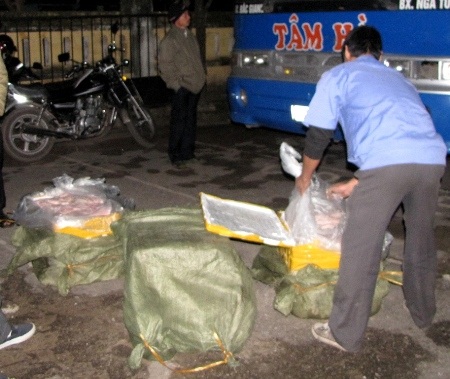 Phát hiện thêm một xe khách chở 300 kg nội tạng thối