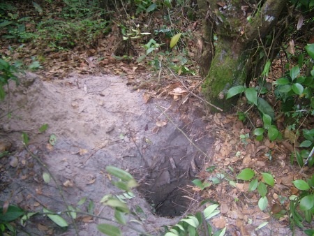 Khắp đồi đâu đâu cũng thấy nhiều hố được khoét sâu