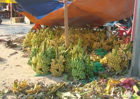 Chuối chín được bày tràn lan bên đường, mỗi nải chỉ có giá 5-10 nghìn đồng mà không ai mua