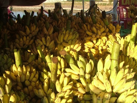 Chuối chín được bày tràn lan bên đường, mỗi nải chỉ có giá 5-10 nghìn đồng mà không ai mua