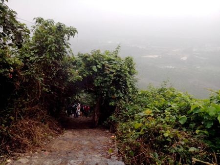 Đổ xô lên núi Thần Đinh cầu an, lấy "nước thánh" - 6 Vãn cảnh đường lên núi Thần Đinh đẹp kỳ vỹ