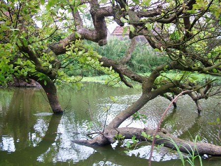 Đặng Tài - Đăng Đức