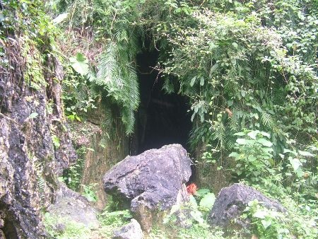 Cửa hang bị che kín, cỏ mọc um tùm chắn hết lối vào