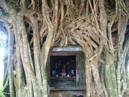 Người dân khi đến viếng miếu luôn tỏ lòng thành kính