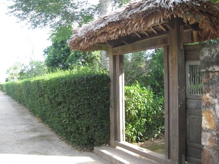 Chiếc cổng được bao quanh bởi hàng chè tàu cổ kính, mang đặc trưng của thôn quê