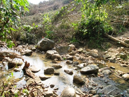 Lâm trường “đầu độc” gần 6.000 dân bằng thuốc diệt cỏ!