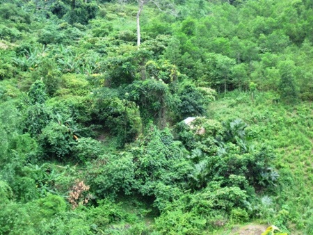 Người đào vàng xuyên thế kỷ chết trên núi Mã Cú - 1 Núi Mã Cú - nơi ông Công đào vàng, tìm kho báu hơn 30 năm