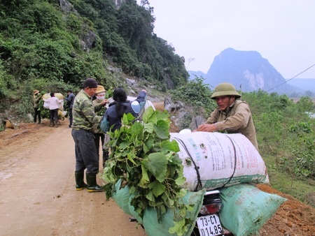 Ngoài rơm ra, lá lạc phơi khô, người dân còn cắt cỏ, lá trong rừng về cho trâu bò ăn