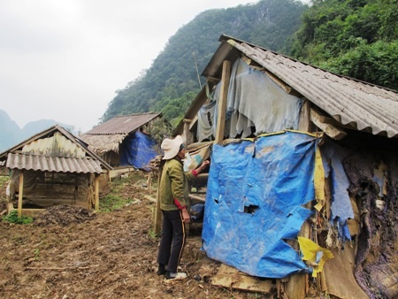 Gia cố chuồng trại