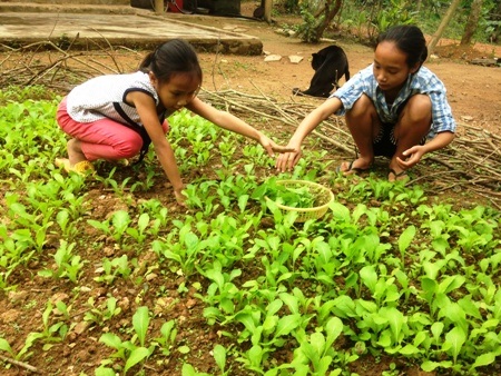 Trang và Thu ra vườn hái ít rau cải để làm mâm cơm đạm bạc cúng cho mẹ