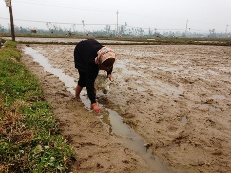 Tâm sự rơi nước mắt của cậu bé 15 tuổi bị mù hai mắt