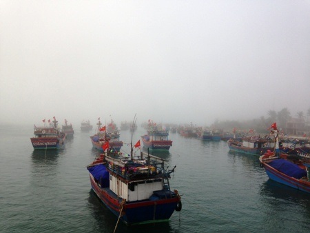 Công viên bên sông Nhật Lệ cũng bị sương mù phủ trắng xóa