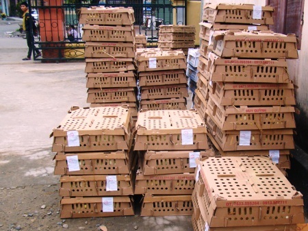 Số gia cầm lậu vừa bị lực lượng chức năng Quảng Bình bắt giữ