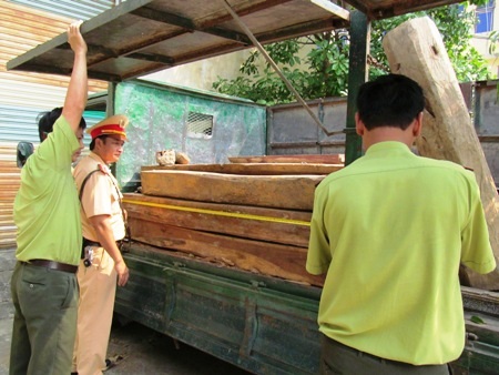 Nhưng vẫn bị lực lượng chức năng bắt giữ