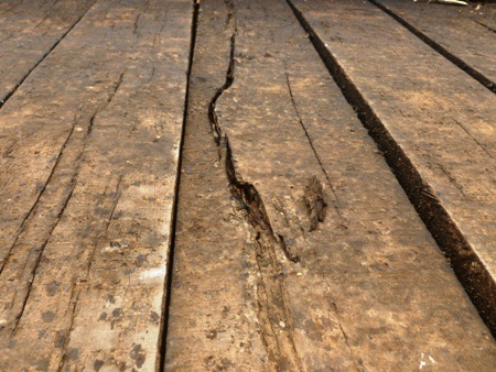 Ván gập ghềnh, mục nát ở giữa