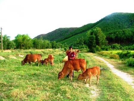 Nỗi lo ngày nhập trường của cô bé chăn bò thuê học giỏi