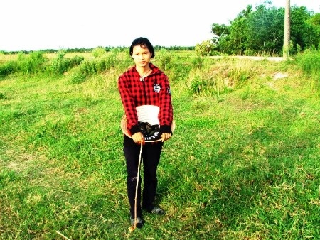 Ngày nhập học đang đến cận kề, ngày ngày Hà Giang vẫn chăm chỉ chăn bò thuê kiếm tiền nhập học