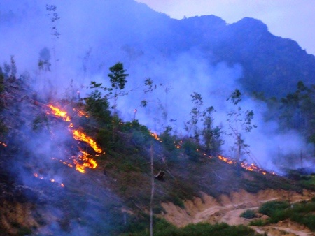 Hiện trường đám cháy