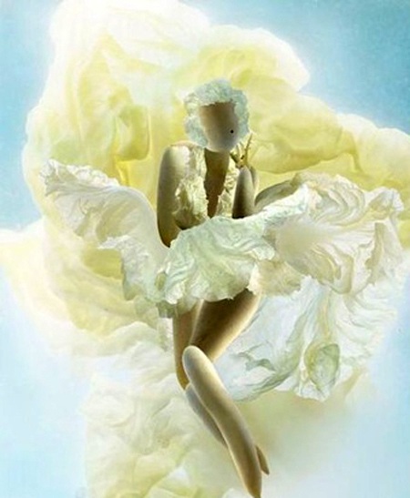 Những cô nàng sexy từ cải thảo - 1