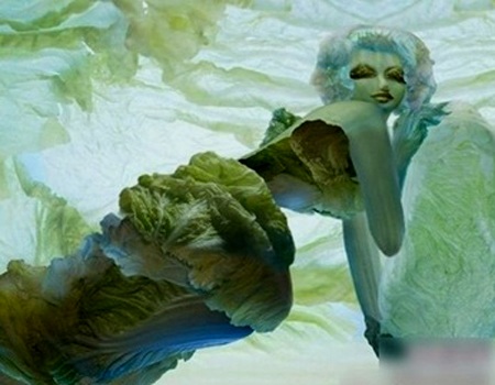 Những cô nàng sexy từ cải thảo - 5