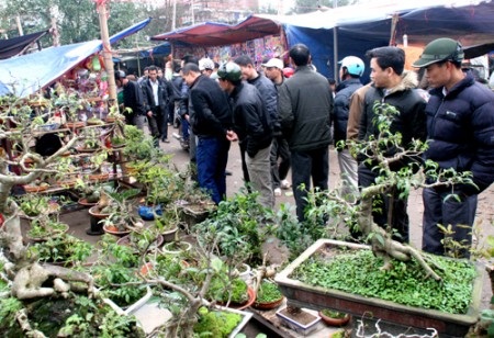 Lội bùn đi chợ Viềng cầu may - 16