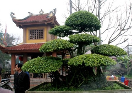 Lội bùn đi chợ Viềng cầu may - 17