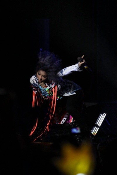 Vũ điệu K- Pop đầy ấn tượng của 2NE1 trên sân khấu Hà Nội - 21