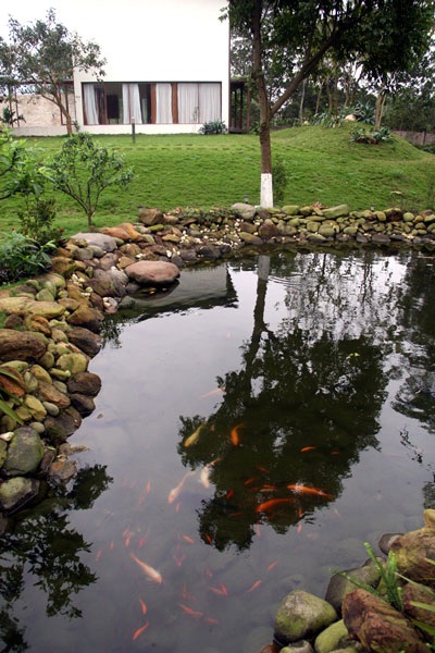 Ngắm nhà vườn “như trong mơ” của diva Mỹ Linh