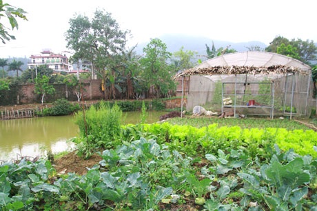 Ngắm nhà vườn “như trong mơ” của diva Mỹ Linh