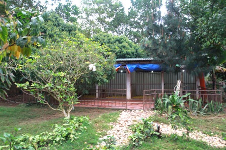 Ngắm nhà vườn “như trong mơ” của diva Mỹ Linh