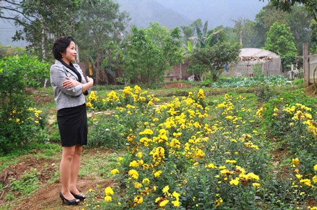 Ngắm nhà vườn “như trong mơ” của diva Mỹ Linh