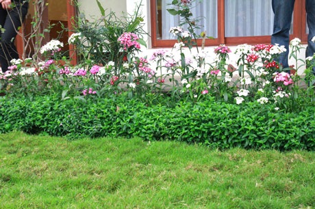 Ngắm nhà vườn “như trong mơ” của diva Mỹ Linh