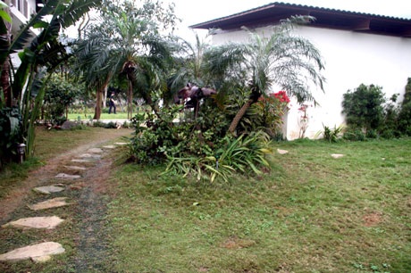 Ngắm nhà vườn “như trong mơ” của diva Mỹ Linh