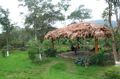 Ngắm nhà vườn “như trong mơ” của diva Mỹ Linh